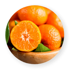 マンダリンオレンジ　イメージ画像
